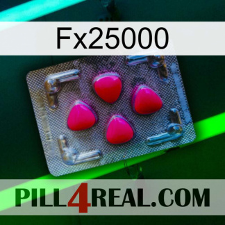 Fx25000 13
